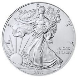 1 oz American Silver Eagle Silver Dollar Sterling Silver Diamond Cut Rope Bezel Frame Mount Pendant 40.60mm x 3.05mm